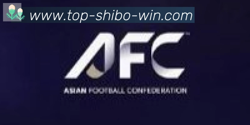 世博体育官网合作伙伴